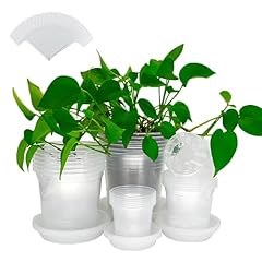 Packs inch clear for sale  Delivered anywhere in USA 