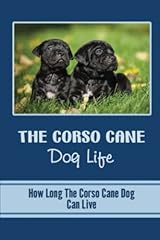 Corso cane dog for sale  Delivered anywhere in UK