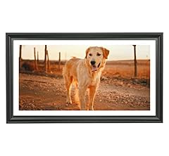 Ltyhhk 12x22 panoramic for sale  Delivered anywhere in USA 