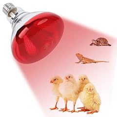 Repti home 250w for sale  Delivered anywhere in USA 