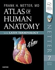 Atlas of Human Anatomy: Latin Terminology: English for sale  Delivered anywhere in Canada