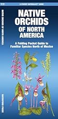 Native orchids north for sale  Delivered anywhere in USA 