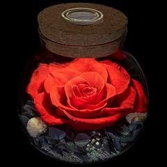Roliys preserved real for sale  Delivered anywhere in USA 