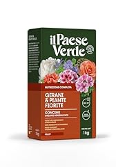 Paese verde gerani usato  Spedito ovunque in Italia 