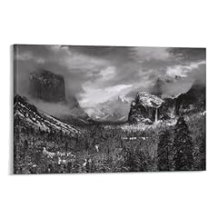 Sel adams poster for sale  Delivered anywhere in USA 