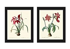 Red amaryllis wall for sale  Delivered anywhere in USA 