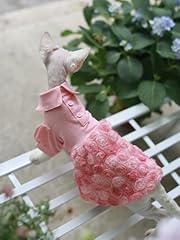 Sphynx cat pink for sale  Delivered anywhere in UK