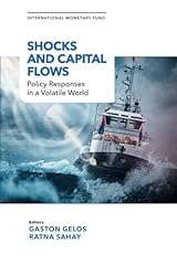 Shocks capital flows for sale  Delivered anywhere in USA 