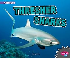 Thresher sharks 4d for sale  Delivered anywhere in USA 