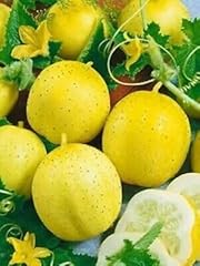 Cucumber lemon crystal for sale  Delivered anywhere in UK