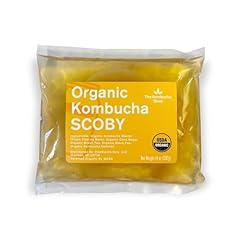 Organic scoby kombucha for sale  Delivered anywhere in USA 