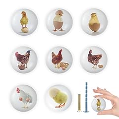 Lasyman 8pack1.5 ceramic for sale  Delivered anywhere in USA 