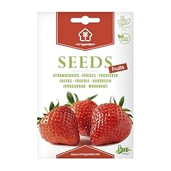 Fraises graines prêt d'occasion  Livré partout en Belgiqu
