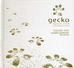 Gecko beach club d'occasion  Livré partout en France