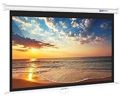 Lopbast screen 100inch for sale  Delivered anywhere in USA 