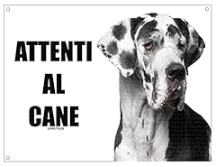 Alano attenti cane usato  Spedito ovunque in Italia 