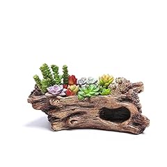 Hbsgs creative succulent for sale  Delivered anywhere in UK
