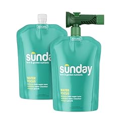 Sunday water focus for sale  Delivered anywhere in USA 