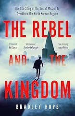 The rebel and usato  Spedito ovunque in Italia 