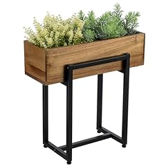 Mygift inch plant for sale  Delivered anywhere in USA 