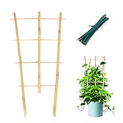 Cambaverd plant trellis for sale  Delivered anywhere in USA 
