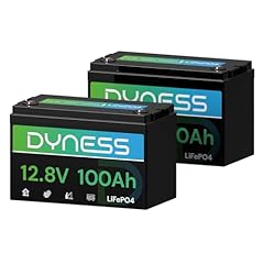 Dyness 12v 100ah for sale  Delivered anywhere in USA 