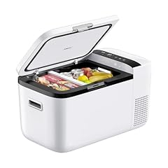 Iceco go20 dual for sale  Delivered anywhere in USA 