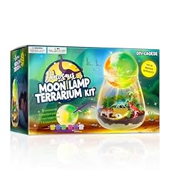 Kit terrarium dinosaure d'occasion  Livré partout en France
