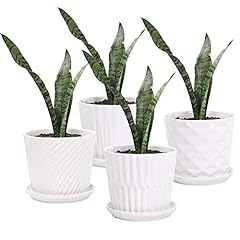 Sietpoek plant pots for sale  Delivered anywhere in USA 