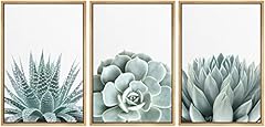 Wall26 framed wall for sale  Delivered anywhere in USA 