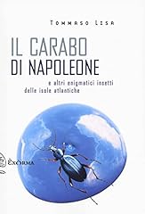Carabo napoleone altri usato  Spedito ovunque in Italia 
