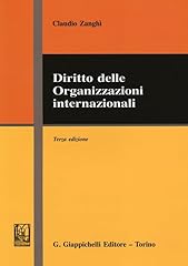 Diritto delle organizzazioni usato  Spedito ovunque in Italia 