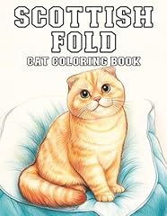 Scottish fold cat for sale  Delivered anywhere in USA 