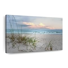 Elephant stock beach for sale  Delivered anywhere in USA 
