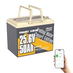 Power queen batteria usato  Spedito ovunque in Italia 