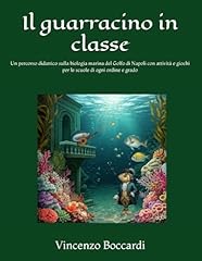 Guarracino classe percorso usato  Spedito ovunque in Italia 