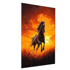 Horse diamond art for sale  Delivered anywhere in USA 