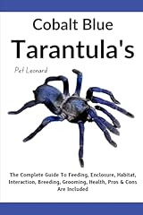 Cobalt blue tarantula for sale  Delivered anywhere in USA 