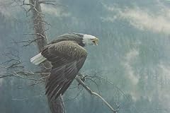 Robert bateman air for sale  Delivered anywhere in USA 