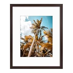 Frametory 16x20 picture for sale  Delivered anywhere in USA 
