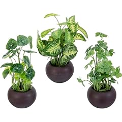 Mygift modern trio for sale  Delivered anywhere in USA 