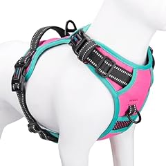 Phoepet 2019 reflective for sale  Delivered anywhere in USA 