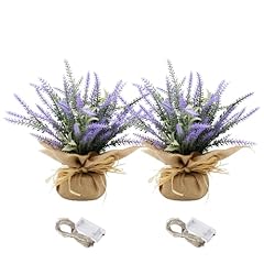 Nuvagiki spring potted for sale  Delivered anywhere in USA 