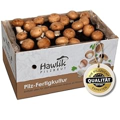 Hawlik pilzbrut champignons gebraucht kaufen  Wird an jeden Ort in Deutschland