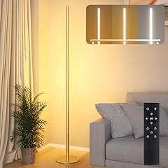 Hzitcigm led stehlampe gebraucht kaufen  Wird an jeden Ort in Deutschland