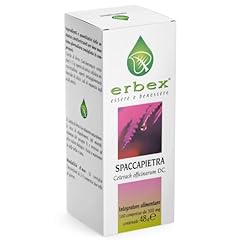 Erbex spaccapietra puro usato  Spedito ovunque in Italia 