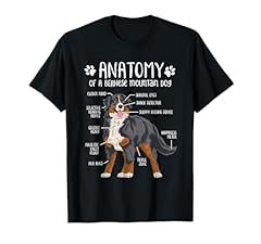 Funny anatomy bernese for sale  Delivered anywhere in USA 