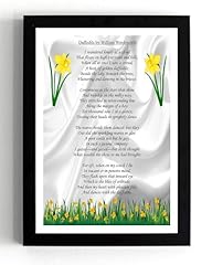 Generic daffodils william for sale  Delivered anywhere in UK
