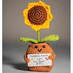 Tournesol positif cadeau d'occasion  Livré partout en France