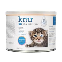 Petag kmr kitten for sale  Delivered anywhere in USA 